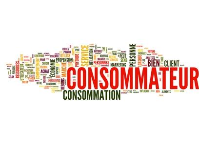 Image de l'article | L'action en suppression des clauses illicites ou abusives des associations visées à l'article L. 421-1 du code de la consommation est limitée aux contrats destinés ou proposés aux seuls consommateurs. | Lettre des Réseaux