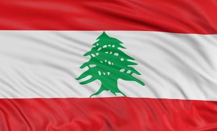 Image de l'article | Dossier spécial consacré à la franchise au Liban : une première partie économique et une seconde partie juridique